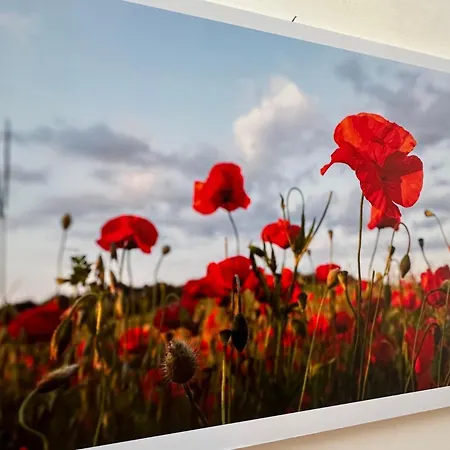 Sisters' - Nel Centro Storico Con Terrazzo, Aria Condizionata E Vasca Da Bagno
