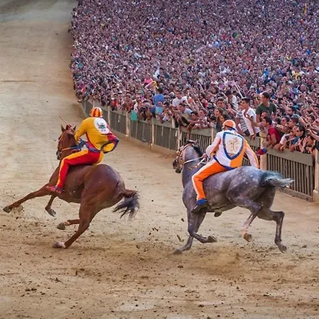 Sisters' - Nel Centro Storico Con Terrazzo, Aria Condizionata E Vasca Da Bagno 公寓 *