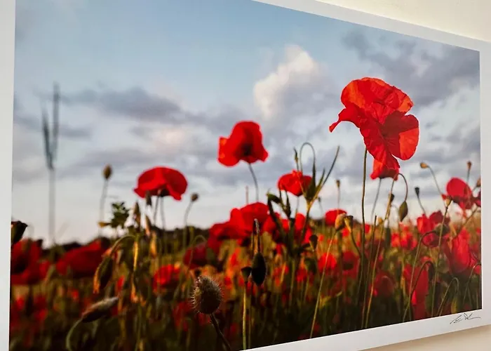 Sisters' - Nel Centro Storico Con Terrazzo, Aria Condizionata E Vasca Da Bagno